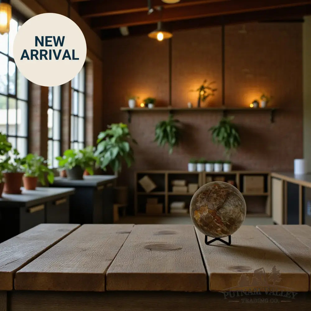 Reserve Petrified Wood Sphere Sphere