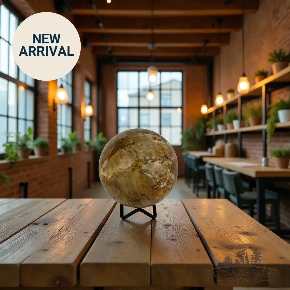 Reserve Petrified Wood Sphere 3.57’’ Sphere