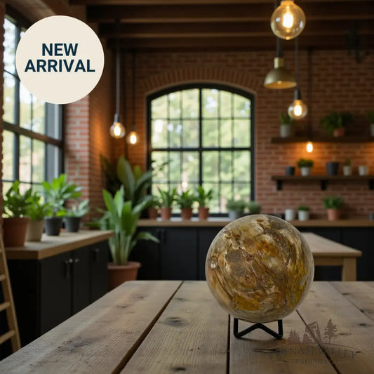 Reserve Petrified Wood Sphere 3.57’’ Sphere