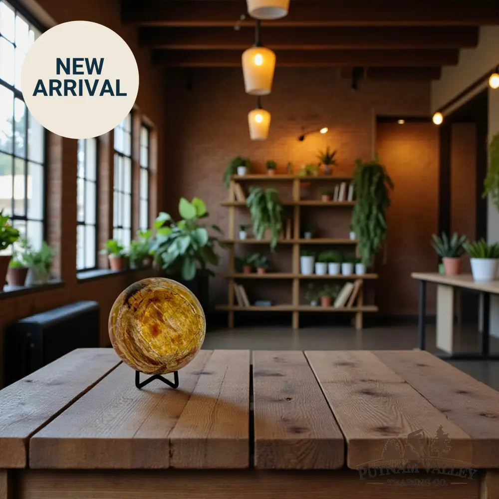 Reserve Petrified Wood Sphere 3.65’’ Sphere