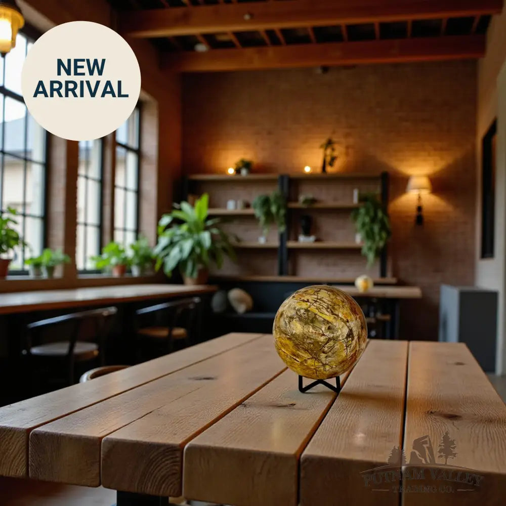 Reserve Petrified Wood Sphere 3.65’’ Sphere