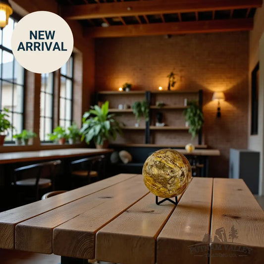 Reserve Petrified Wood Sphere 3.65’’ Sphere