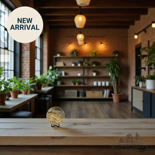 Reserve Petrified Wood Sphere 3.7’’ Sphere