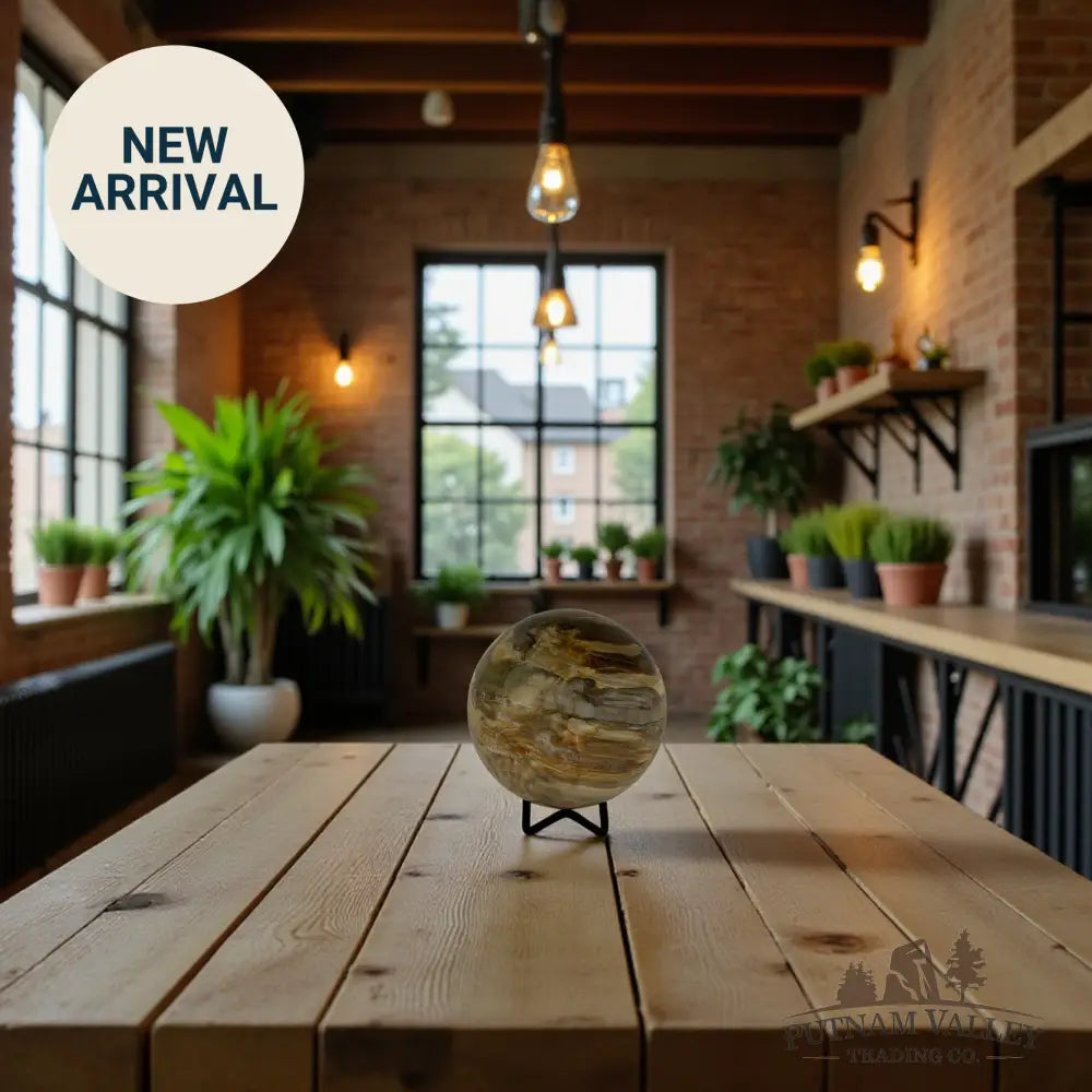 Reserve Petrified Wood Sphere 3.74’’ Sphere