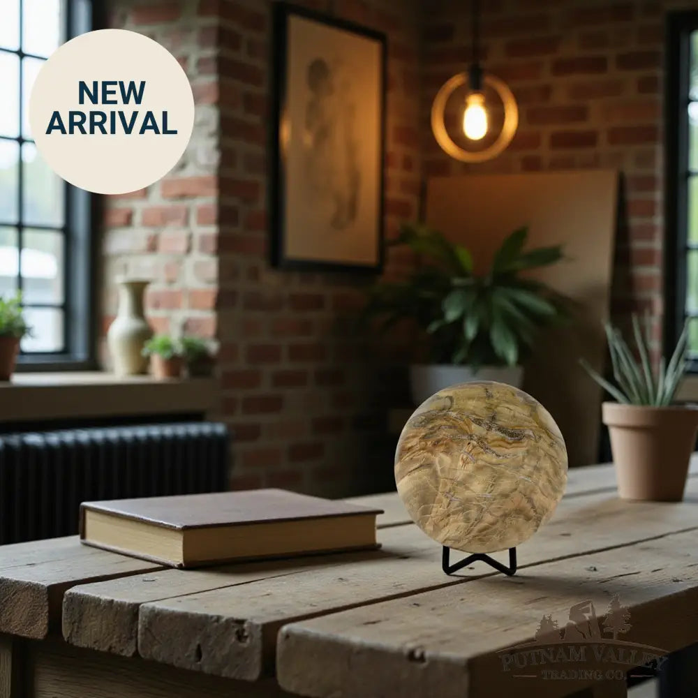 Reserve Petrified Wood Sphere 3.74’’ Sphere