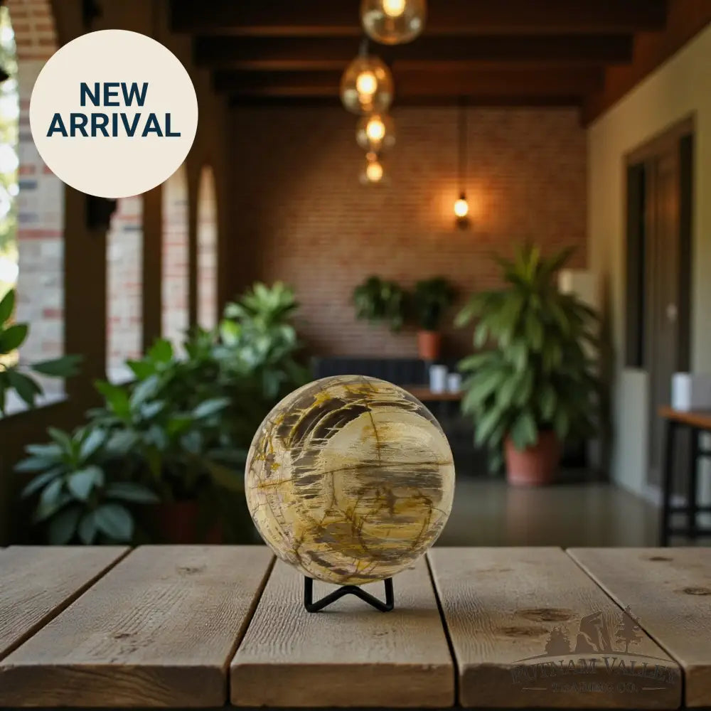 Reserve Petrified Wood Sphere 3.74’’ Sphere