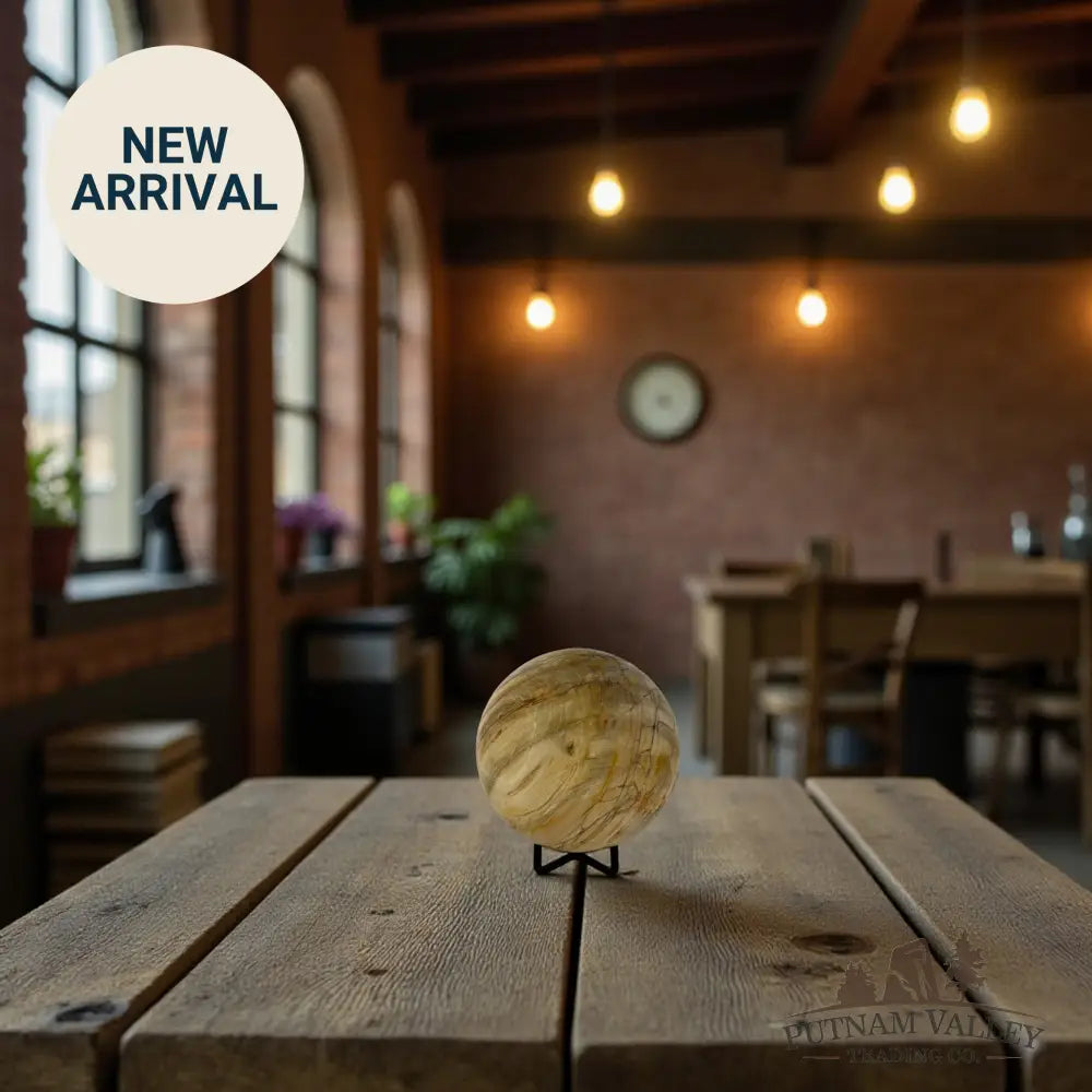 Reserve Petrified Wood Sphere 3.85’’ Sphere