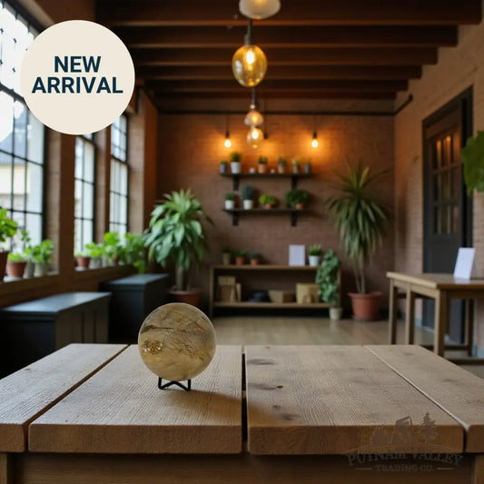 Reserve Petrified Wood Sphere 3.86’’ Sphere