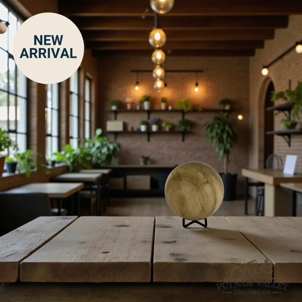 Reserve Petrified Wood Sphere 3.86’’ Sphere