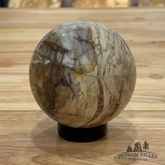 Reserve Petrified Wood Sphere 3.93" - Putnam Valley Trading Co.