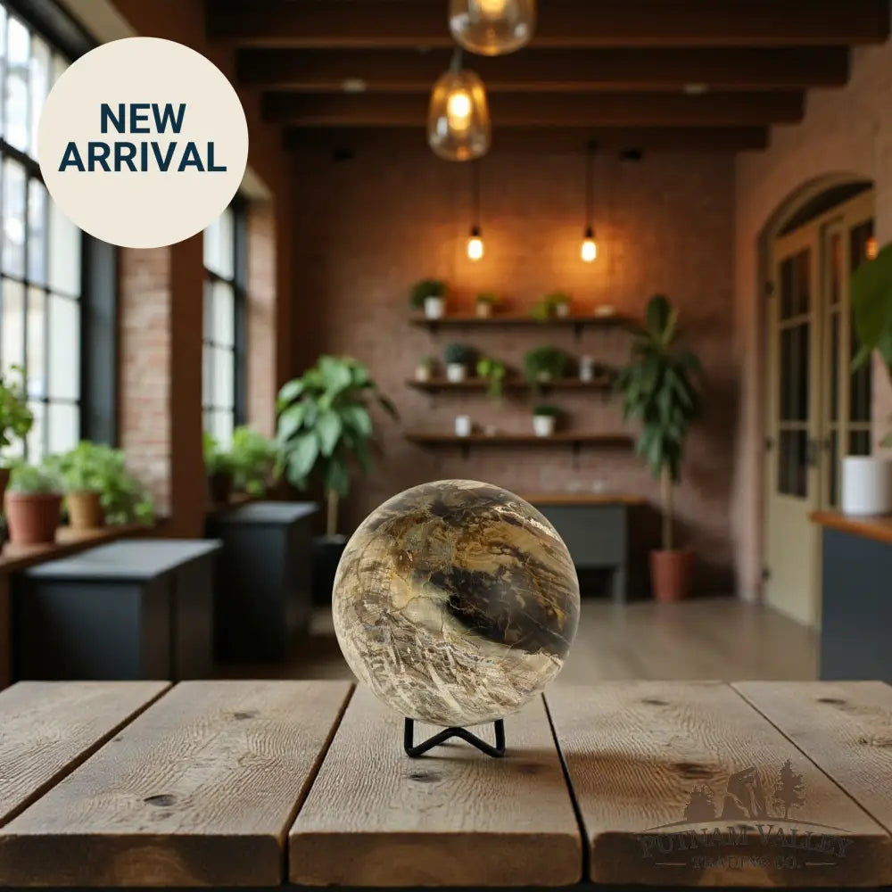 Reserve Petrified Wood Sphere 3.95’’ Sphere