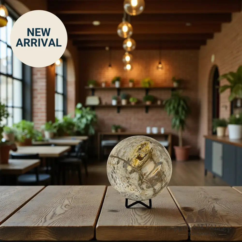 Reserve Petrified Wood Sphere 3.98’’ Sphere