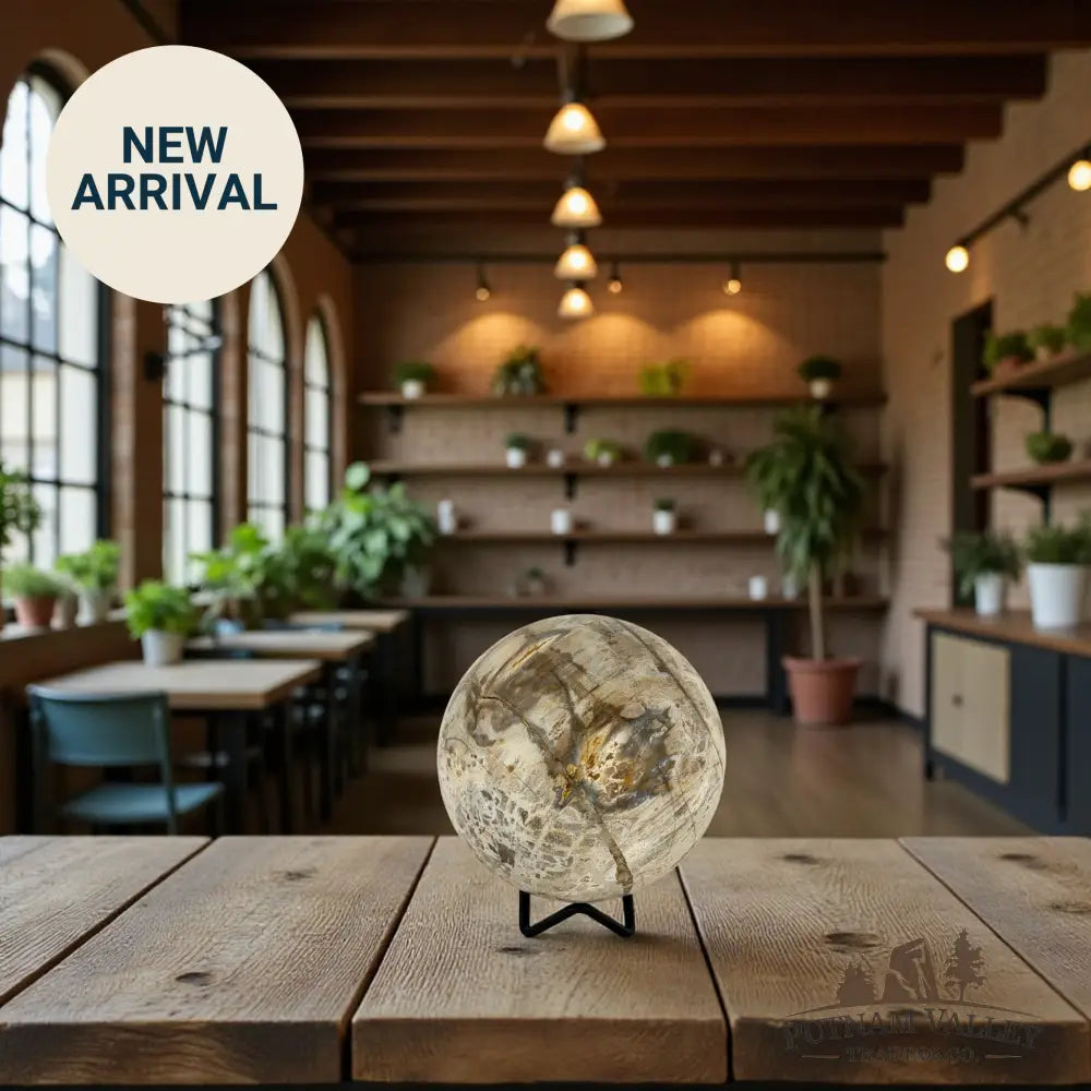 Reserve Petrified Wood Sphere 3.98’’ Sphere