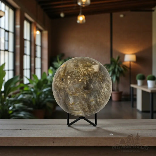 Reserve Petrified Wood Sphere 4.03’’ Sphere
