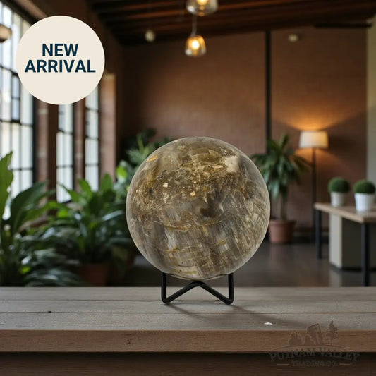 Reserve Petrified Wood Sphere 4.03’’ Sphere