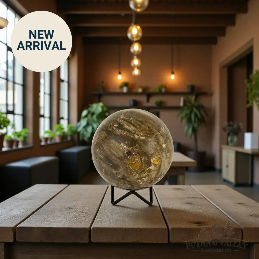 Reserve Petrified Wood Sphere 4.03’’ Sphere