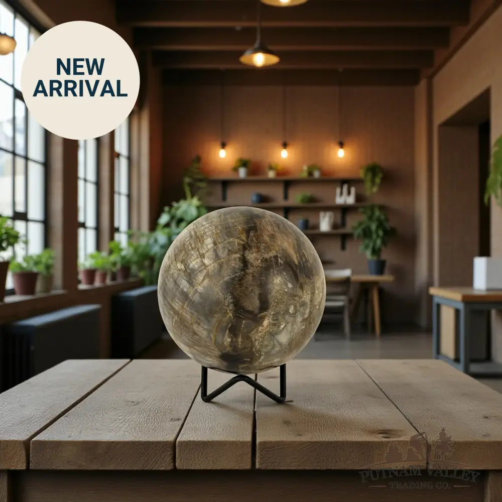 Reserve Petrified Wood Sphere 4.03’’ Sphere