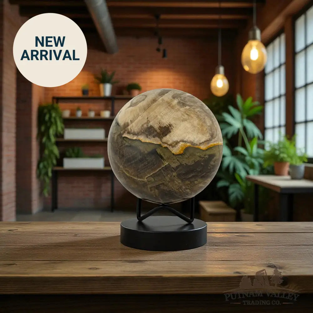 Reserve Petrified Wood Sphere 4.04’’ Sphere