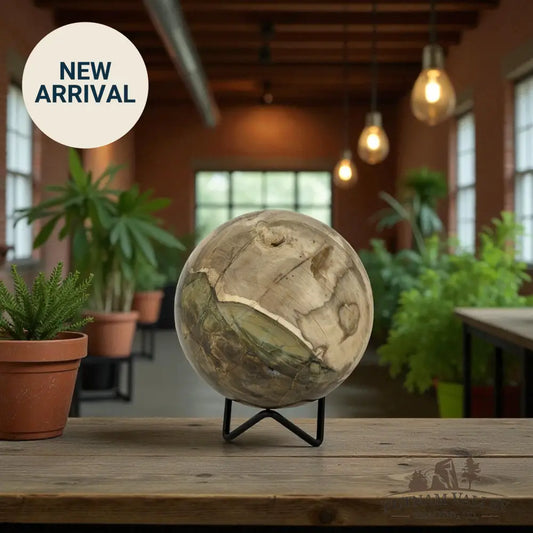 Reserve Petrified Wood Sphere 4.04’’ Sphere