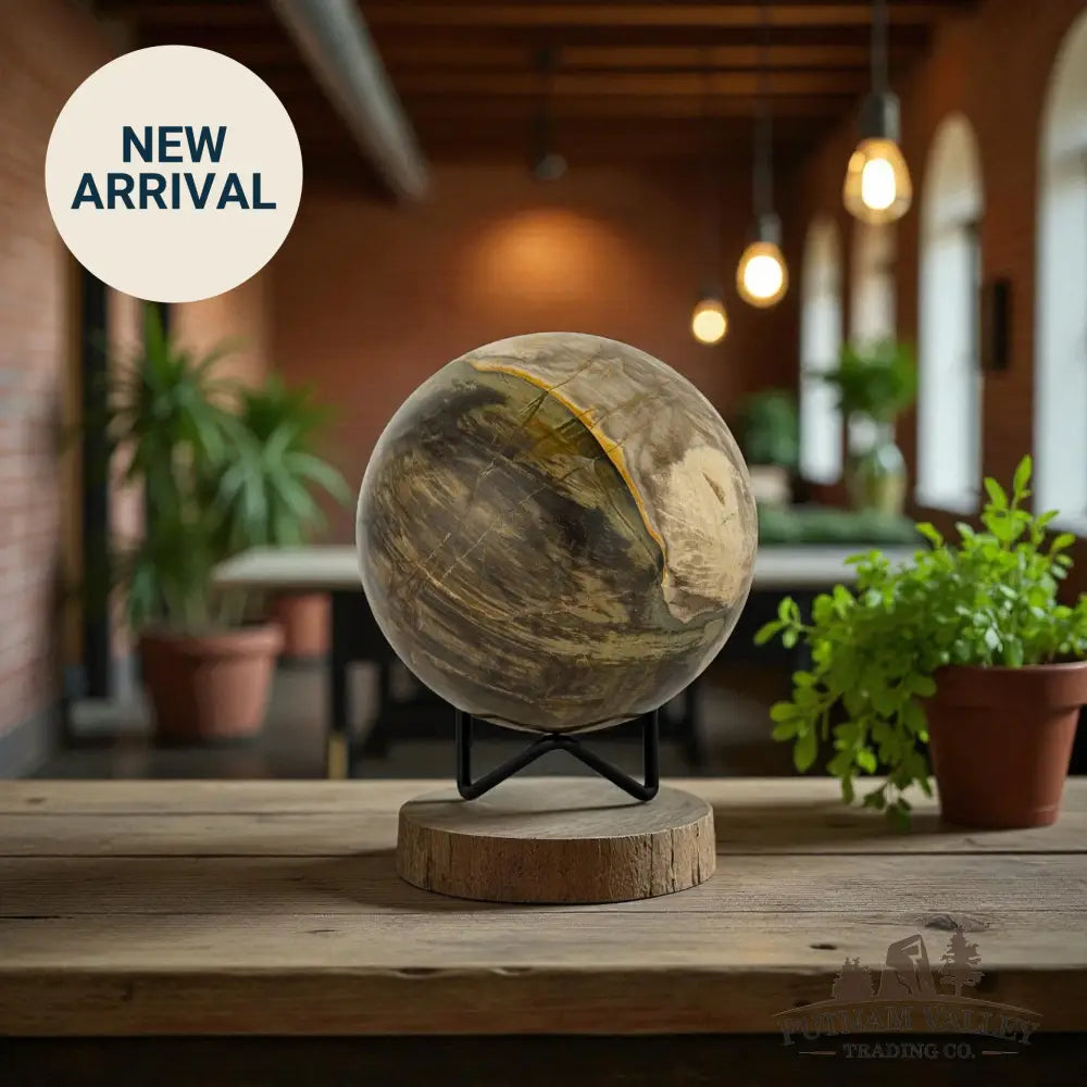 Reserve Petrified Wood Sphere 4.04’’ Sphere
