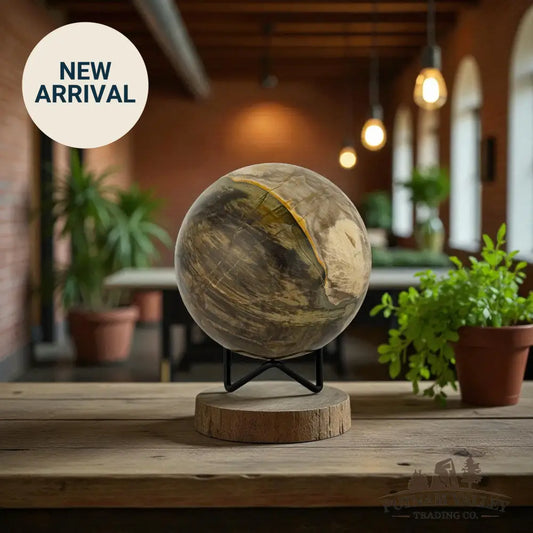 Reserve Petrified Wood Sphere 4.04’’ Sphere