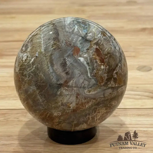 Reserve Petrified Wood Sphere 4.12" - Putnam Valley Trading Co.