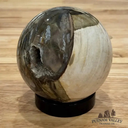Reserve Petrified Wood Sphere 4.27" - Putnam Valley Trading Co.