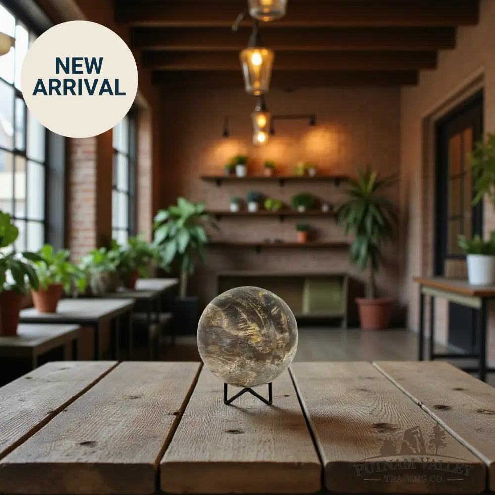 Reserve Petrified Wood Sphere 4.28’’ Sphere