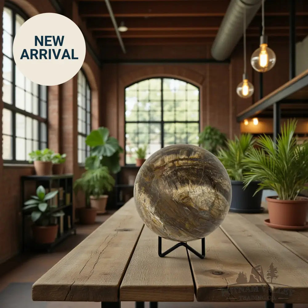 Reserve Petrified Wood Sphere 4.28’’ Sphere