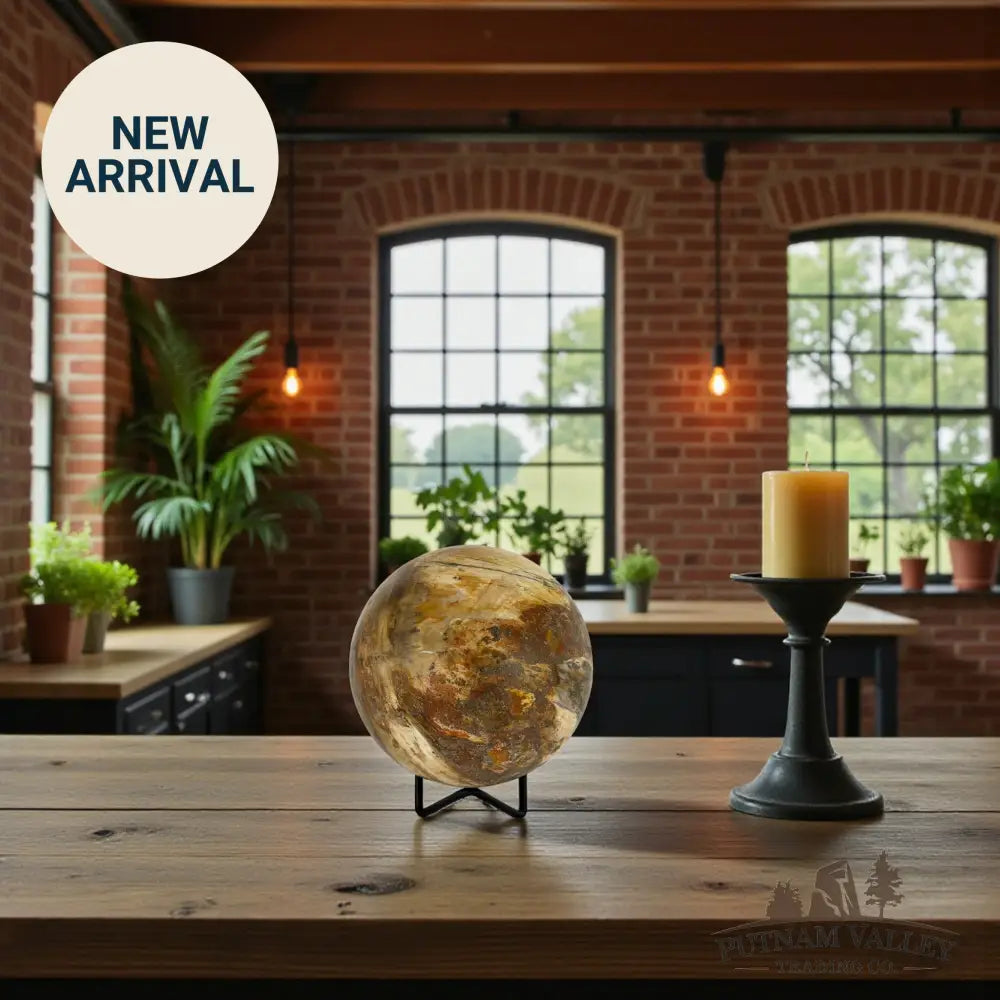 Reserve Petrified Wood Sphere 4.32’’ Sphere