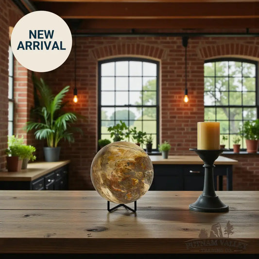 Reserve Petrified Wood Sphere 4.32’’ Sphere