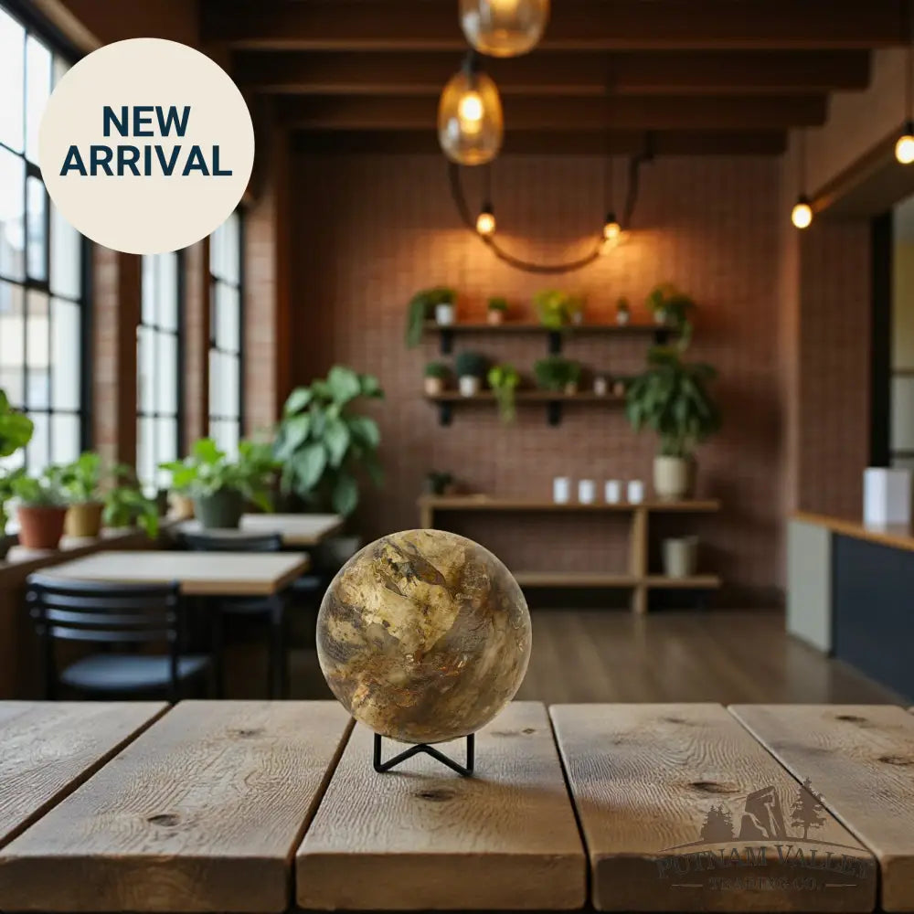 Reserve Petrified Wood Sphere 4.32’’ Sphere