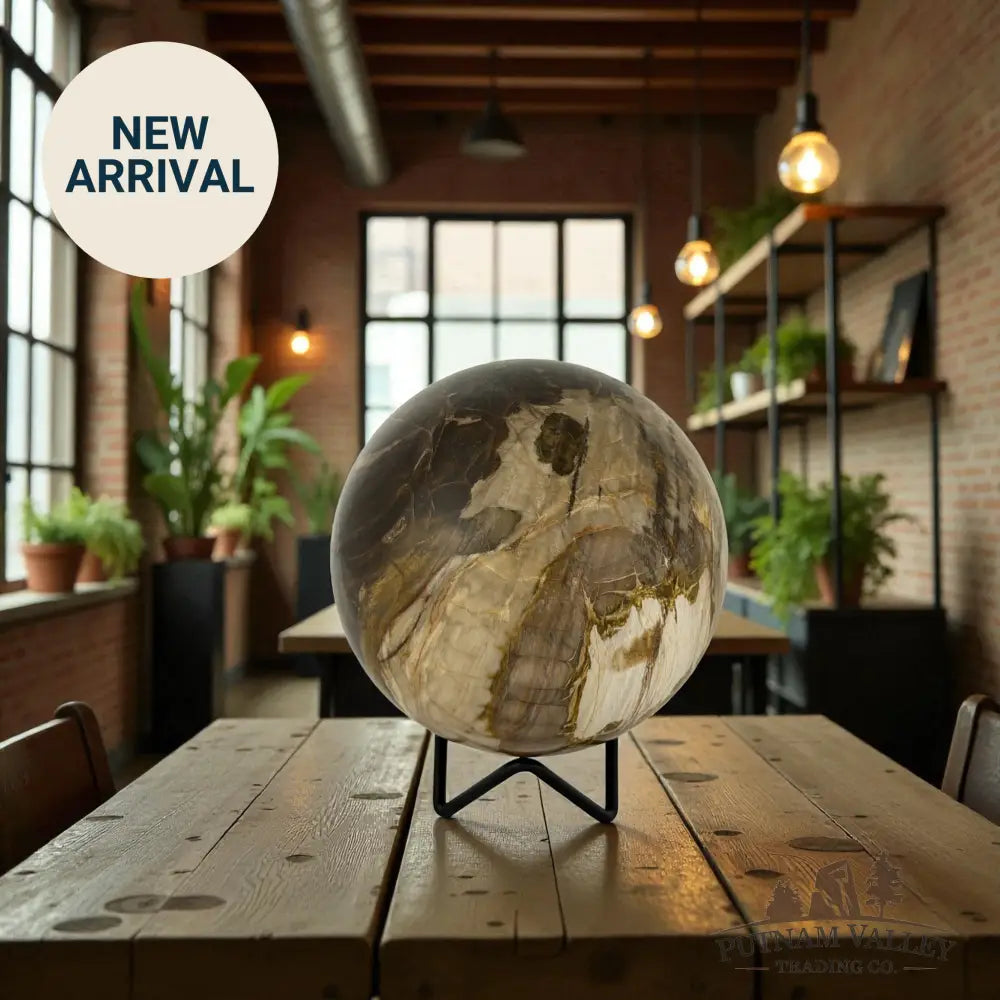 Reserve Petrified Wood Sphere 4.37’’ Sphere