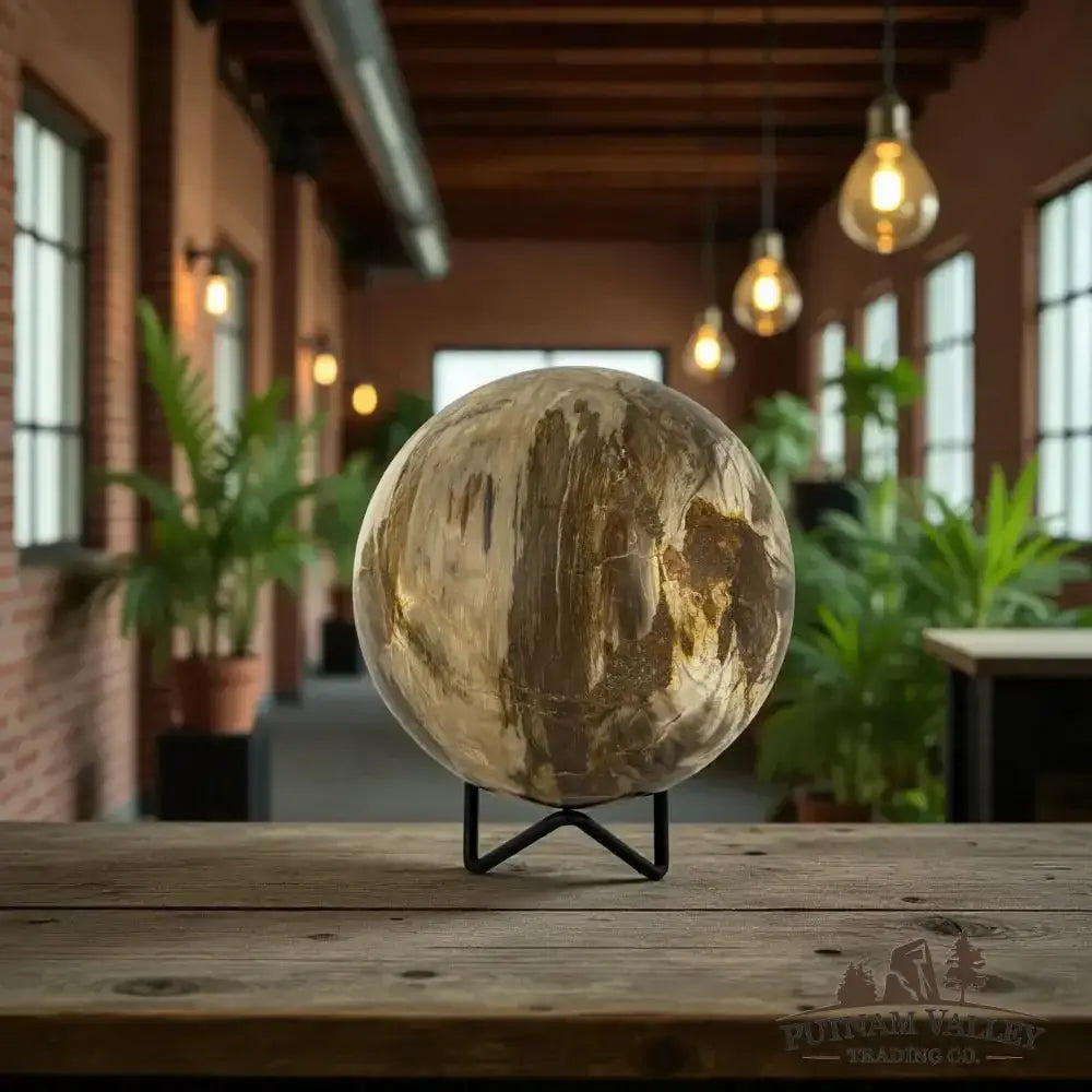 Reserve Petrified Wood Sphere 4.37" - Putnam Valley Trading Co.