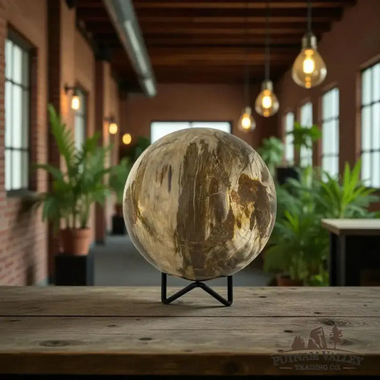 Reserve Petrified Wood Sphere 4.37" - Putnam Valley Trading Co.