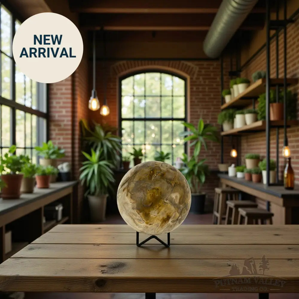 Reserve Petrified Wood Sphere 4.49’’ Sphere