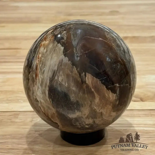 Reserve Petrified Wood Sphere 4.52" - Putnam Valley Trading Co.
