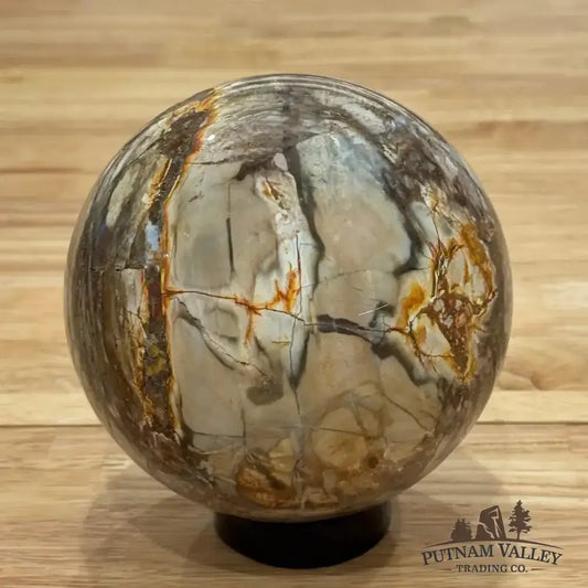 Reserve Petrified Wood Sphere 4.52" - Putnam Valley Trading Co.