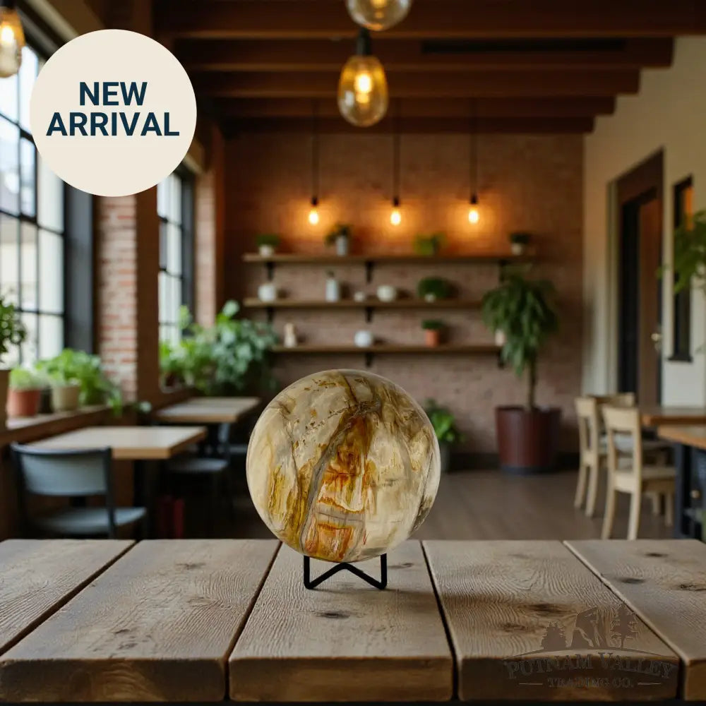 Reserve Petrified Wood Sphere 4.65’’ Sphere