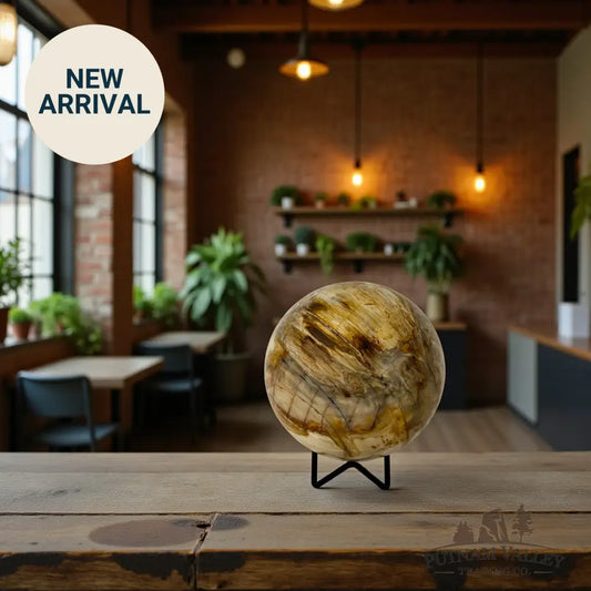 Reserve Petrified Wood Sphere 4.65’’ Sphere