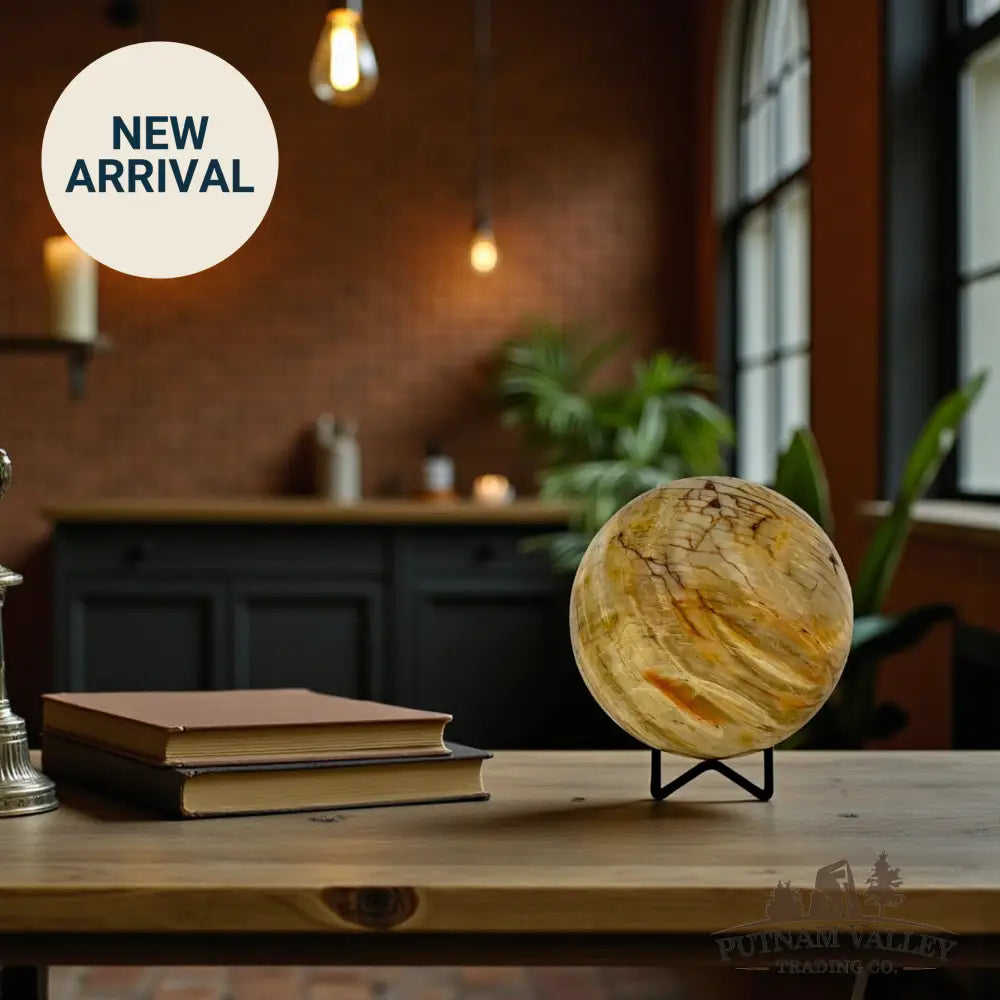 Reserve Petrified Wood Sphere 4.69’’ Sphere