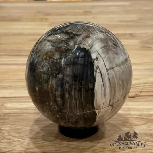 Reserve Petrified Wood Sphere 4.7" - Putnam Valley Trading Co.