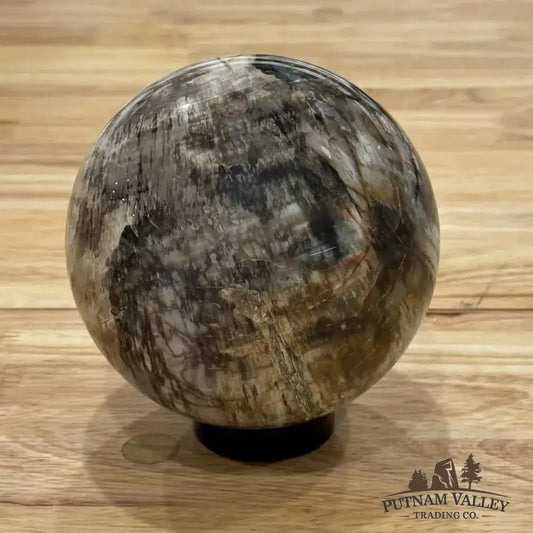 Reserve Petrified Wood Sphere 4.7" - Putnam Valley Trading Co.