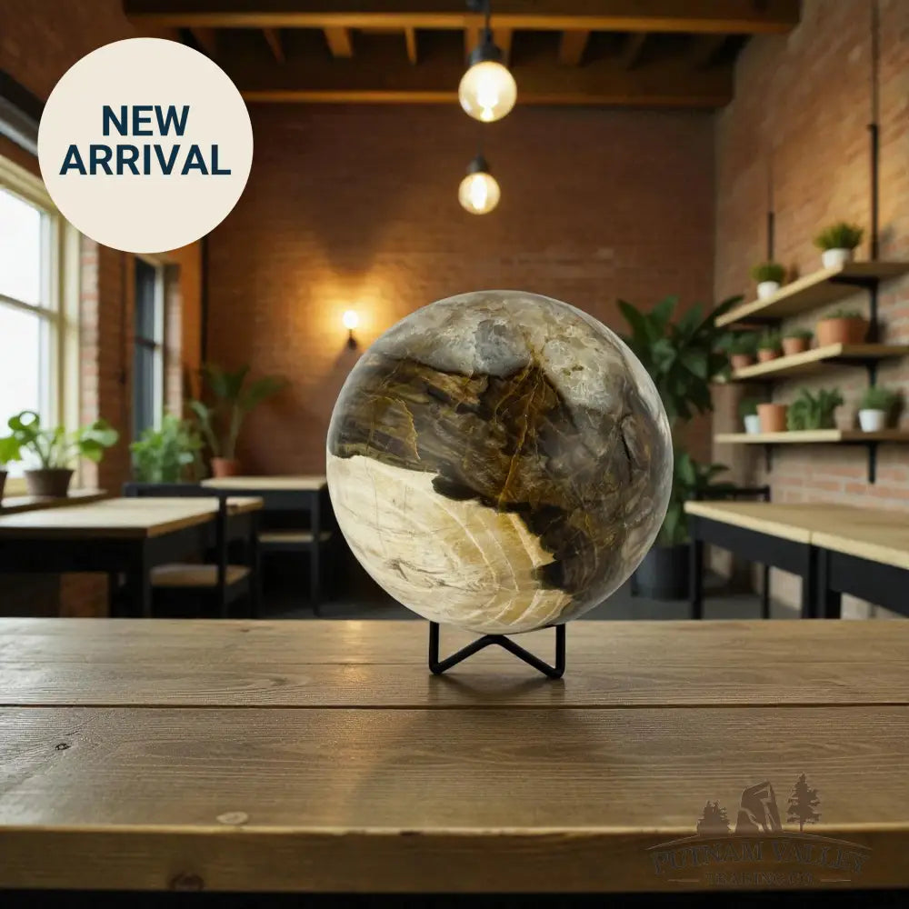 Reserve Petrified Wood Sphere 5.03’’ Sphere