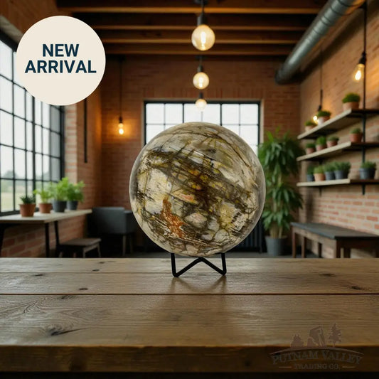 Reserve Petrified Wood Sphere 5.03’’ Sphere