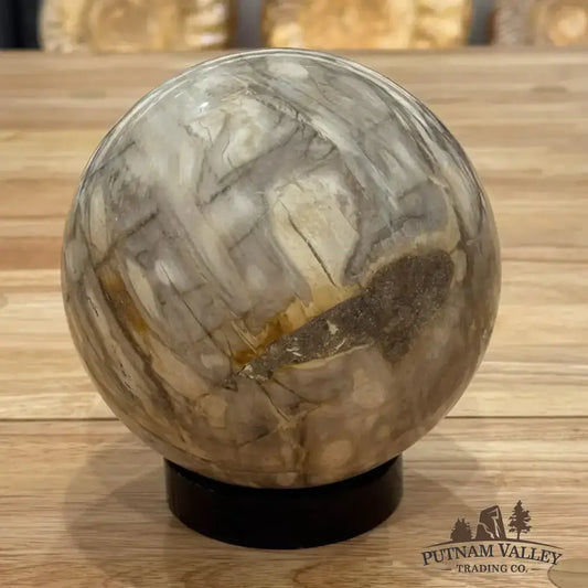 Reserve Petrified Wood Sphere 5.03" - Putnam Valley Trading Co.