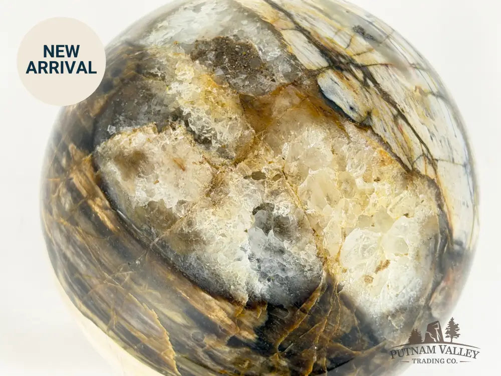 Reserve Petrified Wood Sphere 5.03’’ Sphere