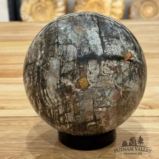 Reserve Petrified Wood Sphere 5.73" - Putnam Valley Trading Co.
