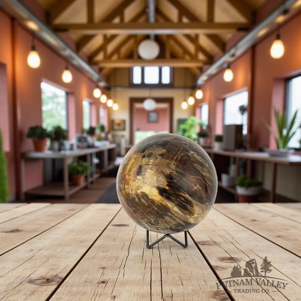 Reserve Petrified Wood Sphere 5.8’’ Sphere