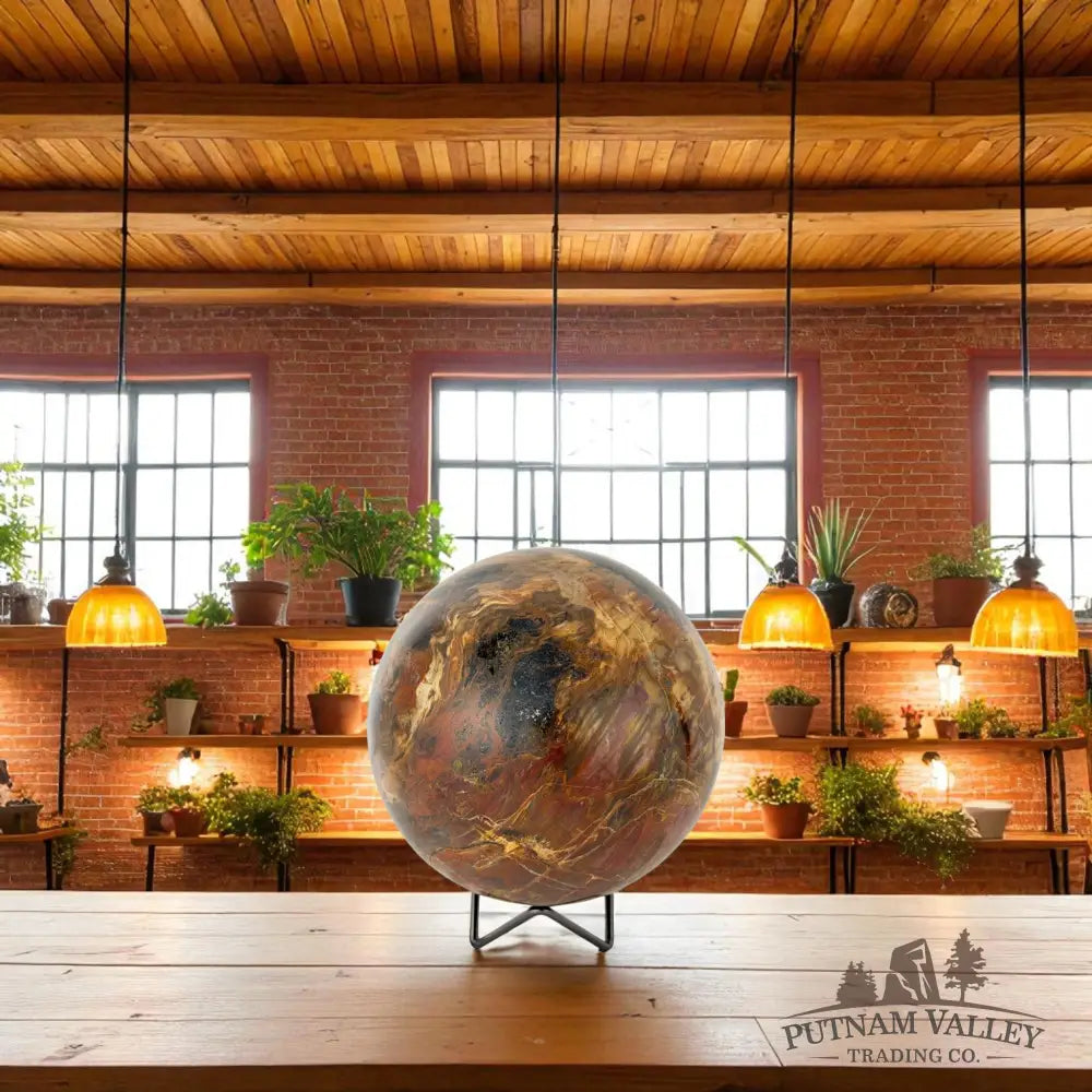 Reserve Petrified Wood Sphere 5.8’’ Sphere